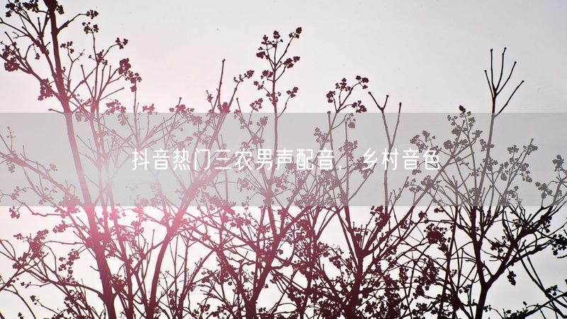 抖音热门三农男声配音，乡村音色
