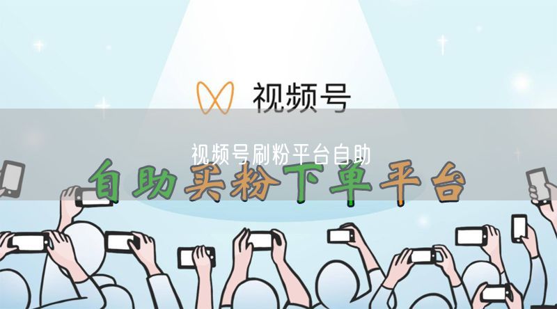 视频号刷粉平台自助