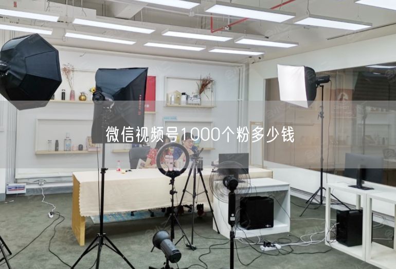 微信视频号1000个粉多少钱