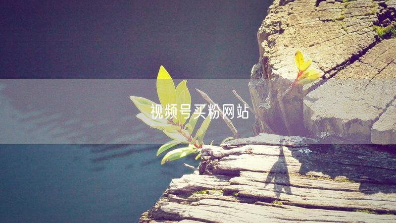 视频号买粉网站