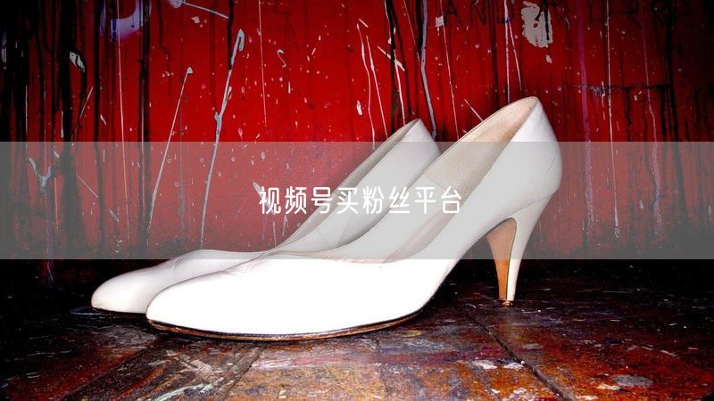 视频号买粉丝平台