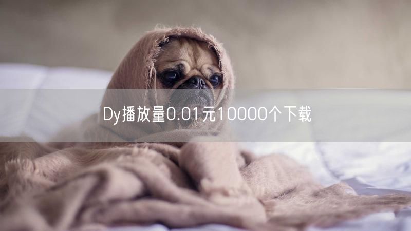 Dy播放量0.01元10000个下载