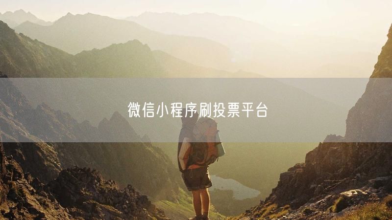 微信小程序刷投票平台